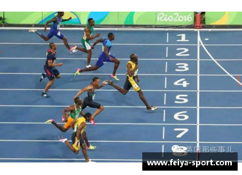 飞鱼体育俱乐部:崛起与辉煌 飞鱼体育俱乐部:崛起与辉煌