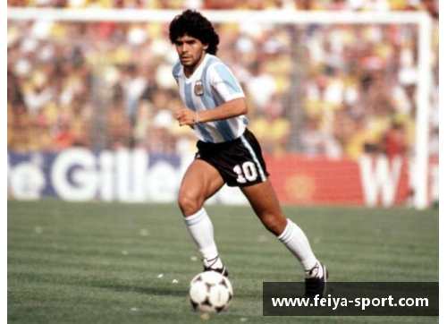 马拉多纳:传奇足球之路 马拉多纳:传奇足球之路