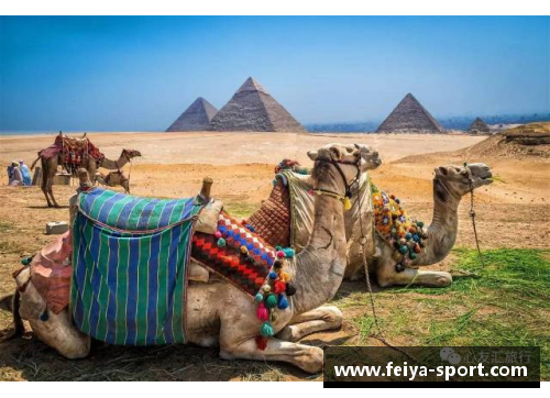 埃及法老在球场上的辉煌:古国遗产与现代荣耀 埃及法老在球场上的辉煌:古国遗产与现代荣耀